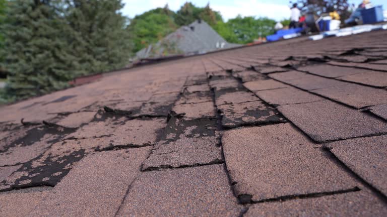 Best Steel Roofing  in Ozark, AL