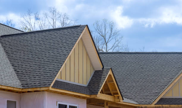 Best Asphalt Shingle Roofing  in Ozark, AL