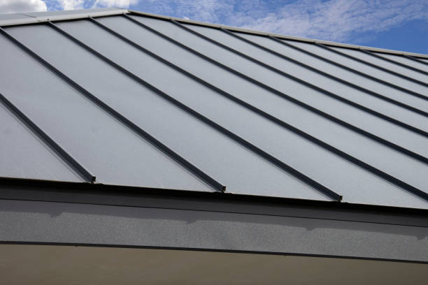 Best Solar Panel Roofing Installation  in Ozark, AL